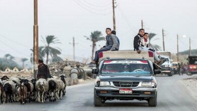 تحرك برلماني "عاجل" بسبب ارتفاع أسعار الأضاحي