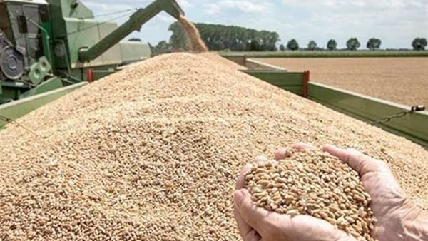 التموين تتعاقد 815 ألف طن من القمح معظمه فرنسي
