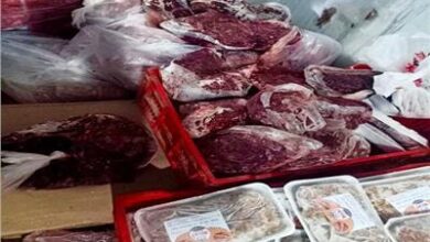 التموين : ضبط 30 طن من اللحوم والدواجن والأسماك الفاسدة