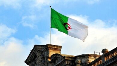 الجزائر.. الأمن يعتقل شبكة تبيع لحوم حمير وبغال للمواطنين