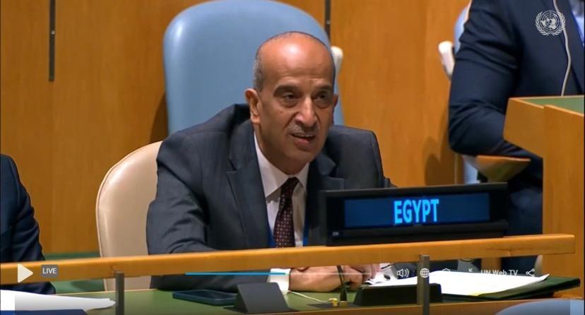 الأمم المتحدة تعتمد قرارًا بإنشاء مكتب شباب بتيسير مشترك من مصر وجيانا