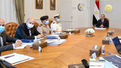 بالشراكة مع القطاع الخاص.. السيسي يستعرض جهود توطين صناعة مستلزمات التشييد