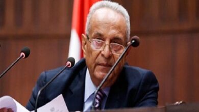 وكيل الشيوخ: قانون صناعة السيارات نقلة حضارية