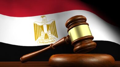 إحالة أوراق 9 متهمين من أسرة واحدة لمفتي الجمهورية