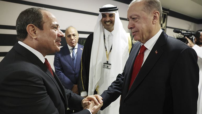 إردوغان: تركيا ومصر ستباشران عملية بناء العلاقات قريبا