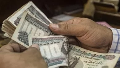 600 جنيه زيادة لهذه الفئات.. موعد صرف مرتبات ديسمبر