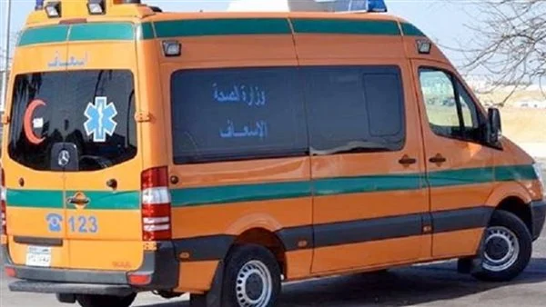 تفاصيل مقتل ربة منزل على يد زوجها بالقليوبية لشكه فى سلوكها