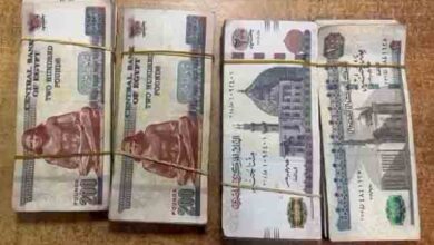 القبض على لبناني حاول تهريب 132 ألف جنيه مصري بمطار شرم الشيخ