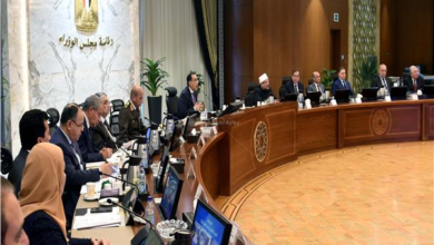 الحكومة تستجيب للمصريين بالخارج.. إلغاء هذه الشروط من قانون استيراد السيارة الشخصية