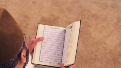 تحالف الأمم المتحدة للحضارات يدين حرق مصحف في السويد
