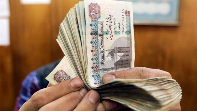 دراسة لـ تنمية المشروعات : اكسب 1.6 مليون جنيه سنويا