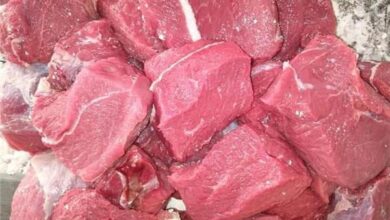 وزاره الزراعة تطرح اللحوم الحمراء بسعر 160 جنيها للكيلو في منافذها