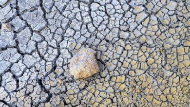 عالم بيئة يقييم توقعات العلماء عن كارثة طبيعية وشيكة في أوروبا