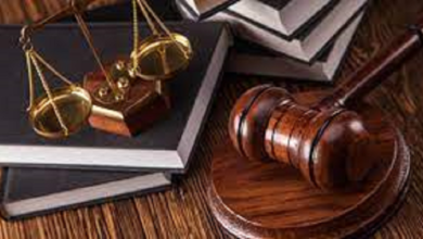 إحالة معيدة جامعية بالمنصورة لمحكمة الجنايات بتهمة إجبار نجلها على التسول