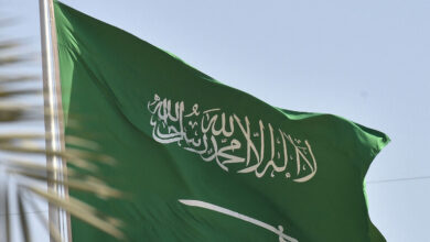 السعودية تكشف عن المحصول الأكثر ملاءمة للتطوير وتعزيز الأمن الغذائي