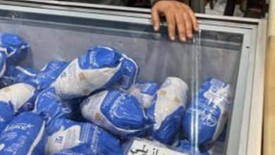 التموين: وصول 3.4 ألف طن دجاج برازيلي قبل 23 مارس الجاري