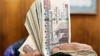 بشرى سارة للعاملين بالقطاع الخاص بشأن زيادة المرتبات