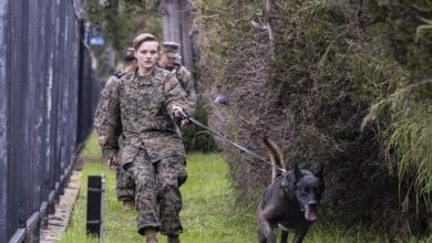 الولايات المتحدة: 8 قتلى و7 مفقودين بانقلاب قاربين للمهربين