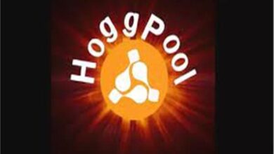 قامو بالنصب على المواطنين:ضبط عدد من مسؤولي تطبيق «هوج بول»