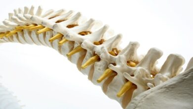 علماء روس يبتكرون غرسات للعمود الفقري القَطَني