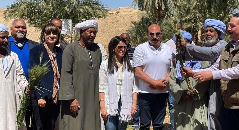 تدشين مشروعات زراعية واقتصادية وثقافية بمحافظة أسوان المصرية بشراكة أممية