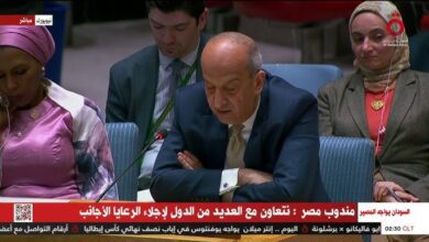 مجلس الامن : مصر تحذر من التدخل في السودان