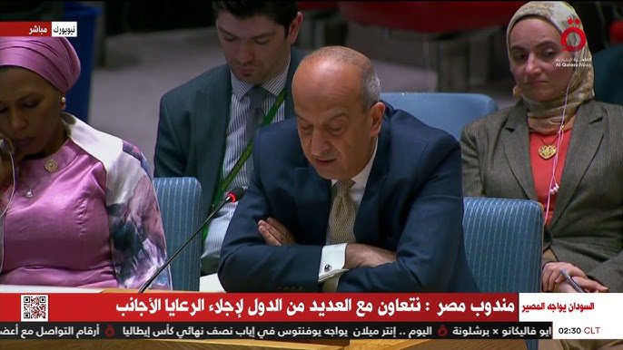 مجلس الامن : مصر تحذر من التدخل في السودان