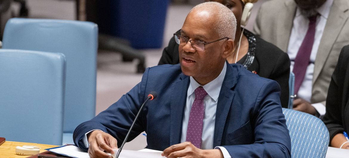 مسؤول أممي: المدنيون يدفعون ثمن تصاعد عنف الجماعات المتطرفة في مالي