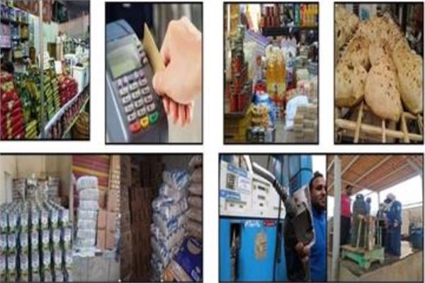 ضبط كميات من الأسماك المملحة غير صالحة للاستهلاك بالمنيا