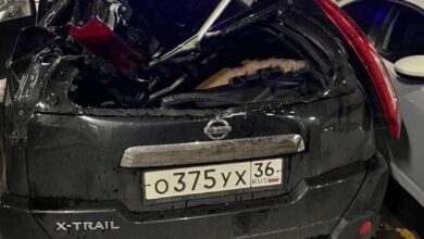 سقط على سيارة من الطابق التاسع عشر ونهض يغني عن حبيبته.ما مصير السيارة؟