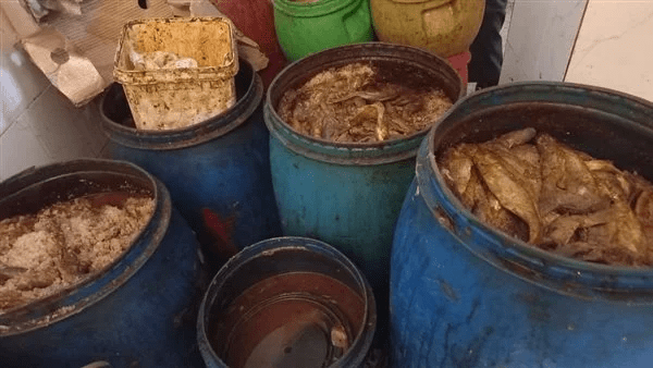 ضبط 5 أطنان أسماك مملحة غير صالحة فى سيدى سالم بكفر الشيخ