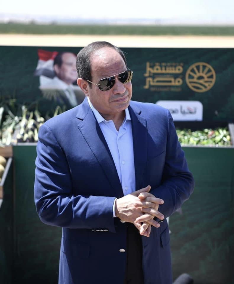 الرئيس السيسى يُكلف المستشار محمود فوزى برئاسة حملته الانتخابية