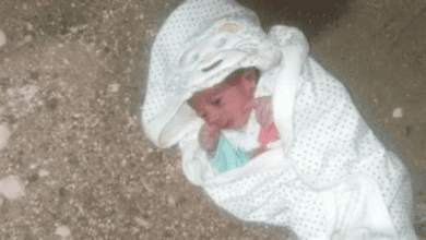 الأم القاسية تركت ابنها يواجه المجهول تحت كوبرى بالغربية