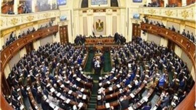 النائبة نيفين حمدي نثمن رسائل الرئيس السيسي أمام مجلس الأمن الإفريقي