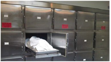 أمن القاهرة يكشف غموض مقتل طبيب بمنطقة الساحل