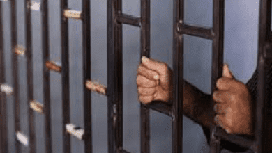 بائع متجول يقتل زميله في دمياط بسبب اكل الحصان