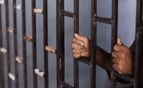 بائع متجول يقتل زميله في دمياط بسبب اكل الحصان