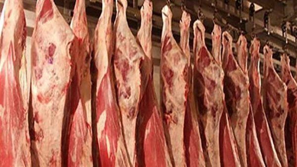حماية المستهلك يحذر من ظهور فطريات على اللحوم