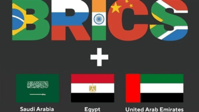 مجلس الأعمال الإفريقي : انضمام مصر للبريكس خطوه هامه نحو التعاون الافريقى