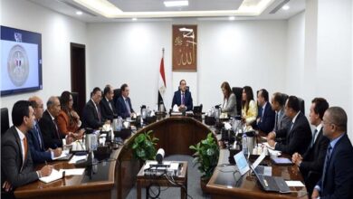 رئيس الوزراء يبحث إنشاء مصنعين للأسمدة والسيليكون لإنتاج الألواح الشمسية