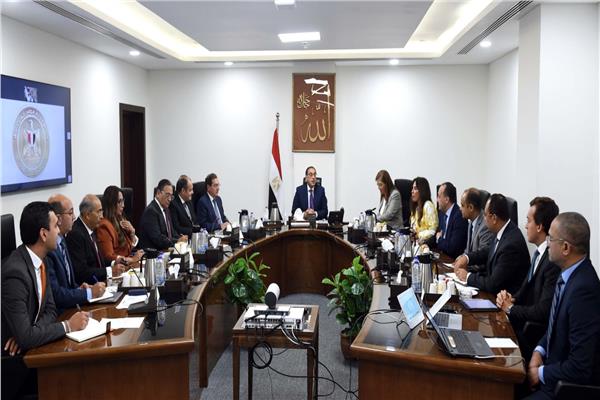رئيس الوزراء يبحث إنشاء مصنعين للأسمدة والسيليكون لإنتاج الألواح الشمسية