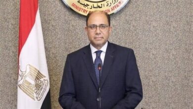 الخارجية المصريه: توصيل المساعدات إلى غزة أولوية مصر ونطالب الجانب الاخر بالتعاون