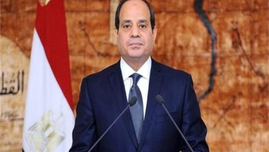 الرئيس السيسى : مصر لم تدخر جهدا من أجل تحقيق السلام في جنوب السودان