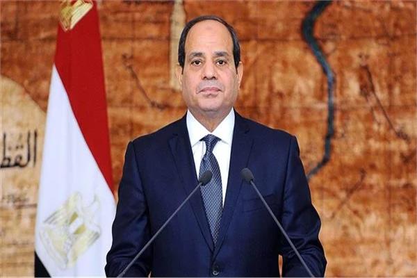الرئيس السيسى : مصر لم تدخر جهدا من أجل تحقيق السلام في جنوب السودان