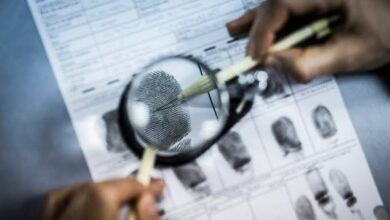 الداخلية: ضبط عصابة للنصب على المواطنين من خلال إدارة كيان تعليمي وهمي