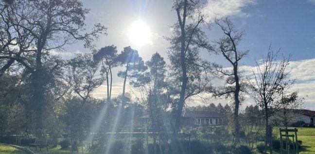 قرية فرنسيه يعاني جميع سكانها من مرض ألزهايمر: كيف يتعايشون