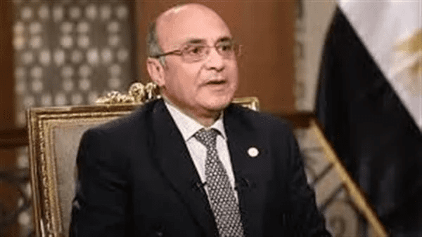 وزير العدل يعلن انطلاق منصة الخدمات القضائية المصرية عن بعد في الإمارات