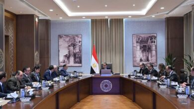 بحضور محافظ بورسعيد رئيس الوزراء يتابع الموقف التنفيذي لمشروعات التنمية الصناعية بمحافظة بورسعيد