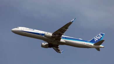 اليابان: طائرة تعود أدراجها بعد أن عض رجل مضيفة طيران