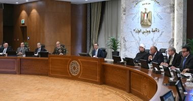 مجلس الوزراء يُحدد 2000 جنيه سعر توريد أردب القمح لموسم 24/ 2025